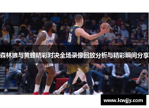 森林狼与黄蜂精彩对决全场录像回放分析与精彩瞬间分享